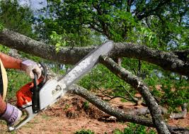 Mulching Services in Oak Grove, SC