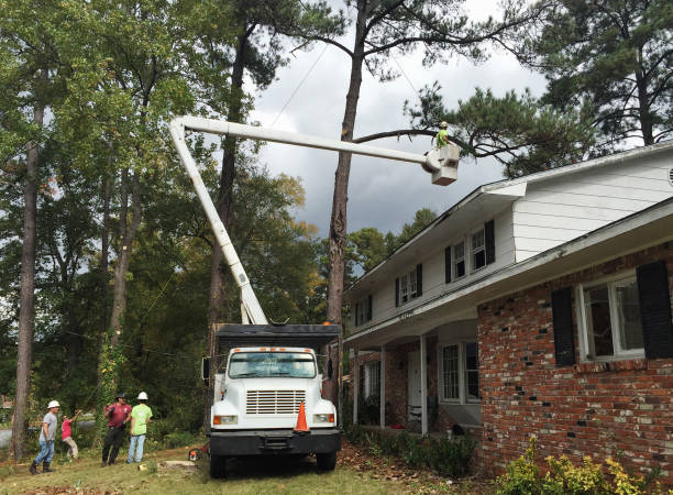 Best Weed Control  in Oak Grove, SC