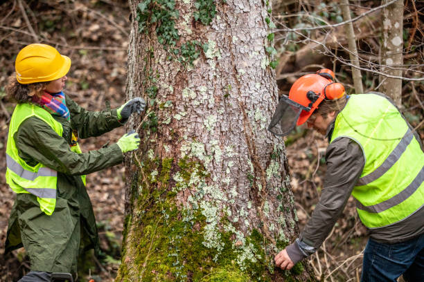 Best Tree Risk Assessment  in Oak Grove, SC